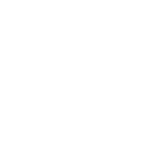 VIP party access icon